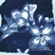 Feel Neutral Single