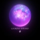 Looking Inward Single