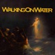 Walking On Water feat Playboy Payso Rick Hyde Single