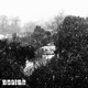 Spring Single