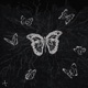 butterfly Single