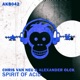 Spirit of Acid Single