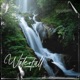 Waterfall feat Sherelle Single