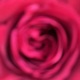 du und ich Single