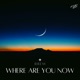 Where Are You Now Single