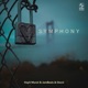 Symphony feat Davvi Hayit Murat Single