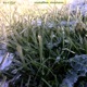 Crystalline Structures EP
