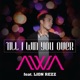 Till I Win You Over feat Lion Rezz Single
