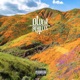 Golden Hills Underneath Those 3 Wishes Single