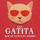 Una Gatita Que Le Gusta el Mambo Single