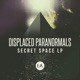 Secret Space Lp
