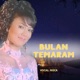 Bulan Temaram Single