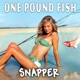 One Pound Fish Single