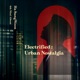 Electrified Urban Nostalgia EP