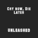 CRY NOW DIE LATER Single