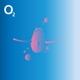 Oxygen Single