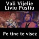 Pe Tine Te Visez Single