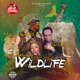 Wildlife Single