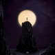 Moonlight Single