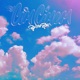 CimCimem Single