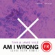 Am I Wrong Gabe Ruth Remix Single
