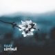 Lùyīnjī Single