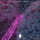 Tonight Single