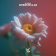 Interstellar Single
