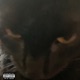 20hoefreestyle Single