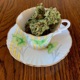 PEPPERMINT TEA AND TRUFFLEZ Single