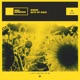 Rays of Gold Single