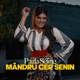 Mandru Cer Senin Single
