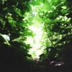 Everglow Single