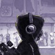 Shogun Lane Single