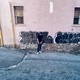IDGAFATB Single