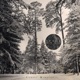 Forest Mirrors