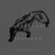 The Borderland Sessions