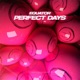 Perfect Days Single