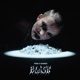 Blask Single