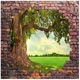 Broken Wall Single
