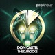 The DJ Rocks Single