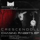 Chasing Rabbits