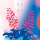 航海薄明
