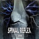 Spinal Reflex Single