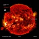 Ciclesol Single