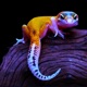 Hiiro the Gecko Single