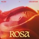 Rosa Single