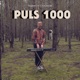 Puls 1000 Single