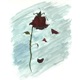 pulling pedals kills the rose Single