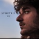 Symetrie